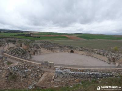 Parque Arqueológico Segóbriga-Monasterio Uclés;mochilas de acampada parque natural del hayedo de 